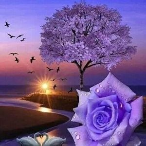 Meet your Posher, Souad